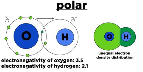 Polar vs. Nonpolar Bonds — Overview & Examples - Expii