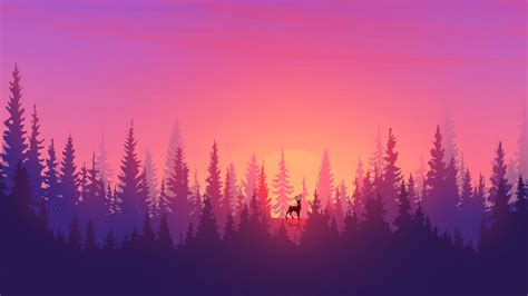 Forest Sunset Wallpaper Hd