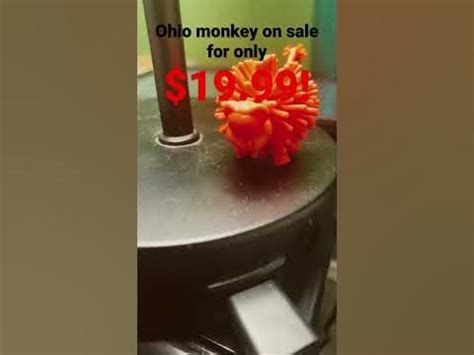 Ohio monkey on sale now! - YouTube