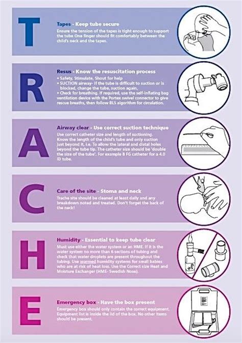 Implementation of the TRACHE care bundle: improving safety in ...