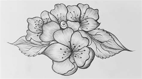 Easy Flower Drawings, Easy Drawings, Pencil Drawings, Jasmine Flower ...