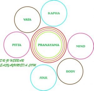 Types Of Pranayama - Effect on Health - Through An Ayurveda Microscope