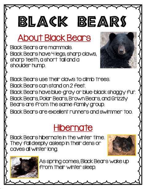 American Black Bear Life Cycle Pdf