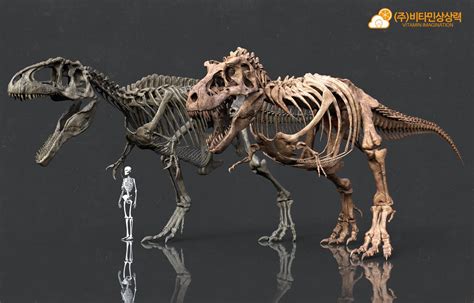 20 best u/13meterlonggiga images on Pholder | Dinosaurs, Paleontology ...