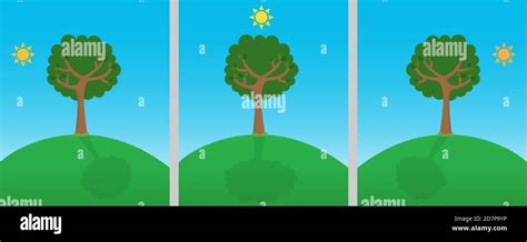 Dark tree and shadows Stock Vector Images - Alamy