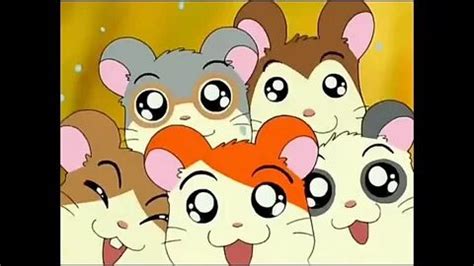 Hamtaro Tv Wallpapers - Top Free Hamtaro Tv Backgrounds - HD - EroFound