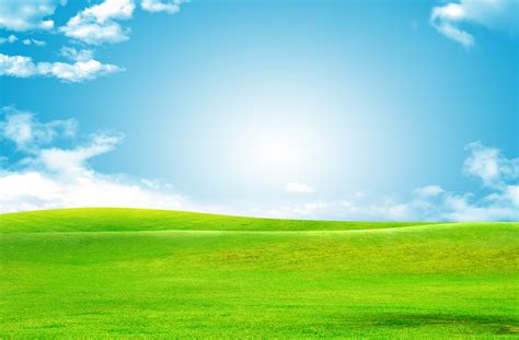 Sky Green Grass Background, Baiyun, Green, Grass Background Image And ...