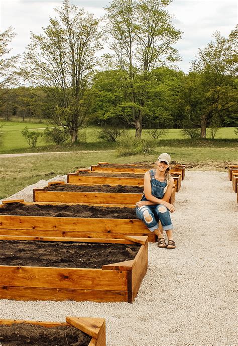 DIY Rasied Garden Beds DIY Raised Garden Beds DIY