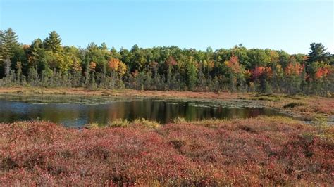 Hidden Valley Nature Center - Maine Trail Finder