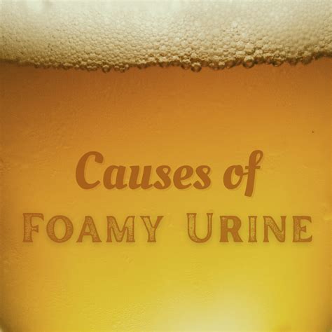 Foamy Urine Causes: How Much Foam in Urine Is Normal? - YouMeMindBody