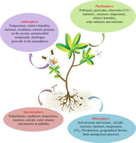 1 Major abiotic factors affecting plant-microbe interactions at the ...