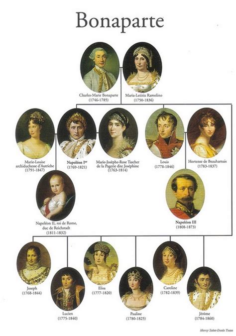 Napoleon Family Tree | Royal family trees, French history, Napoleon