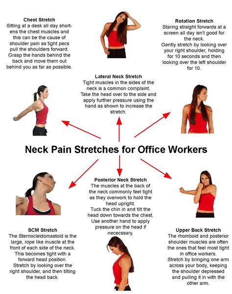 Neck Pain Stretches for Office Workers | Neck pain stretches, Neck pain ...