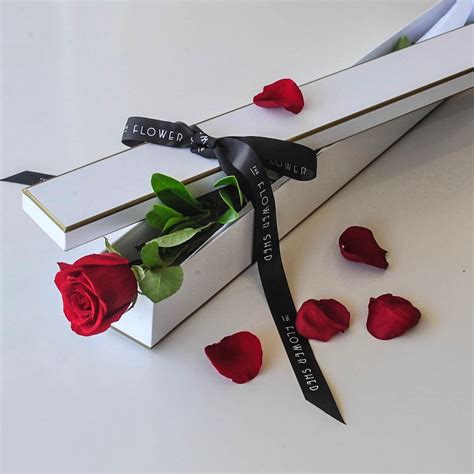 Single Rose Gift Box | Romantic Gift - The Flower Shed