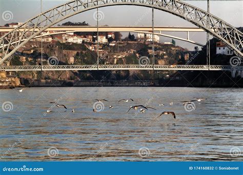 Waters of the Douro River and Dom Luis I Bridge in the Background ...