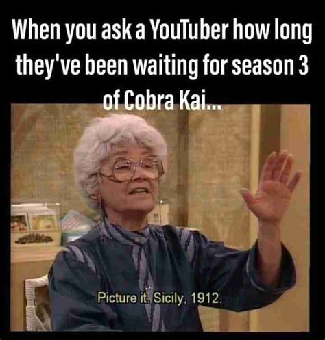 40+ Hilarious COBRA KAI Memes - Guide 4 Moms