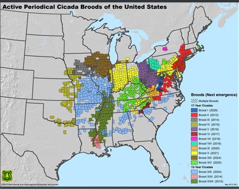 2024 Cicada Map Illinois - Aleda Aundrea