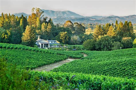 Sonoma Wineries for Wine Tasting in 2023 | Sonoma County Wine Tasting ...