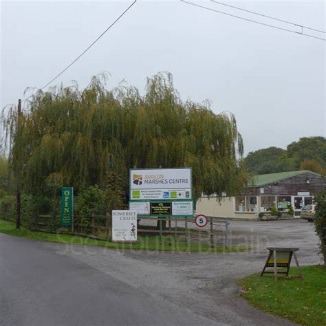 Avalon Marshes Centre, Somerset - See Around Britain