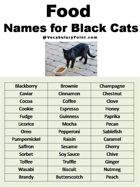 200+ Best Black Cat Names (Unique & Badass) - Vocabulary Point