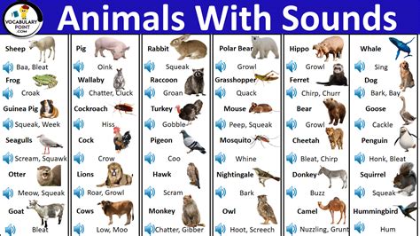 130+ Animals With Sounds Pdf | Animal Sounds List - Vocabulary Point