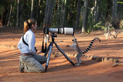 Women in Wildlife Photography: A Brave Conversation - California ...