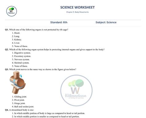 70 Questions Class 6 Science Body Movement Worksheet with solutions ...