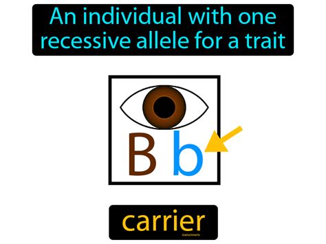 Carrier Definition & Image | GameSmartz