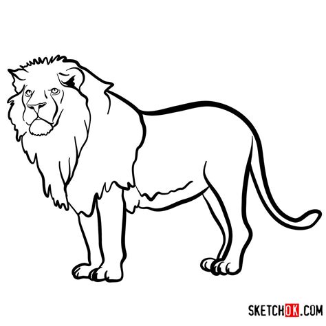 Lion Animal Drawing