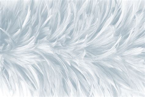 Premium Photo | White feather texture background