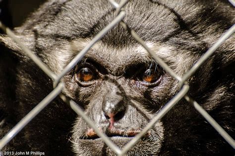 SKEPTIC PHOTO: WILDLIFE WORLD ZOO