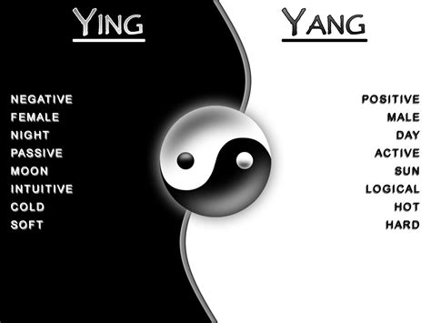 Yin Yang - Factory Direct Jewelry