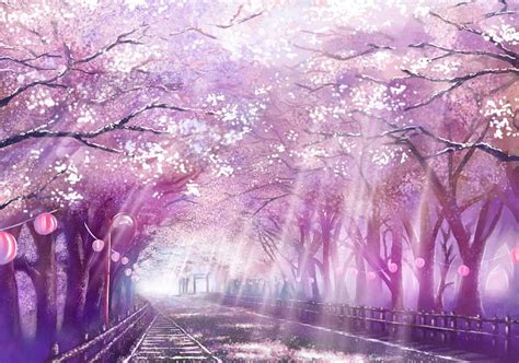 Cherry Blossom Tree Anime, anime cherry blossom couple HD wallpaper ...