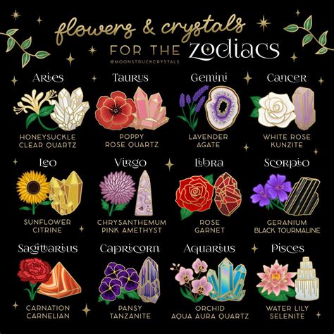 The Ultimate Guide and Meanings of Zodiac Flowers