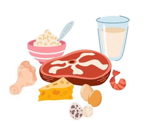 Protein Food Cartoon