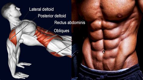 8 Best Oblique Exercises to Make Your Core Rock-Solid – Fitness Volt