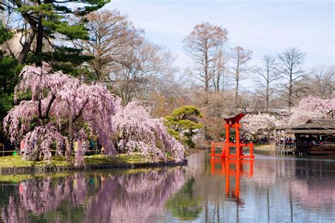 Brooklyn Botanic Garden | Brooklyn, NY 11225 | New York Path Through ...