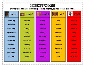 Sensory Words Poster by Conceptual Content | Teachers Pay Teachers