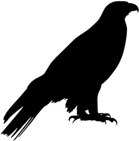 Golden Eagle Silhouette | Free vector silhouettes