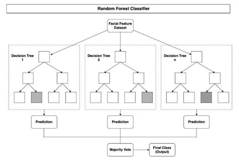 Random forest classifier block diagram | Download Scientific Diagram