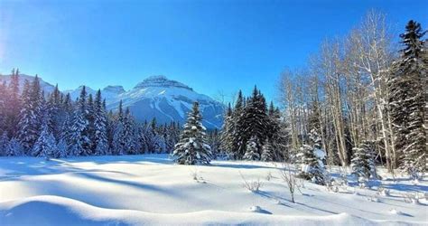 Experience the magic of winter in Banff with these 33 must-do activities