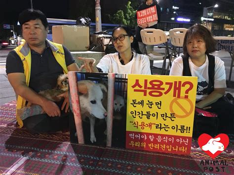 South Korea Passes a Historic Ban on Dog Meat Industry with Animal ...