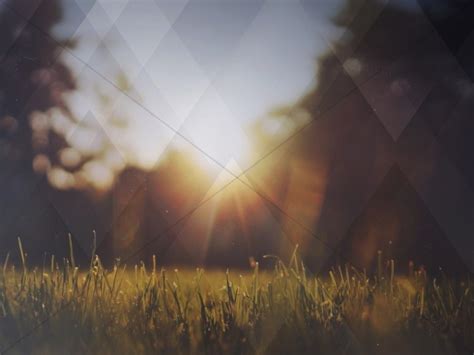 Nature Grass Field Worship Background | Clover Media