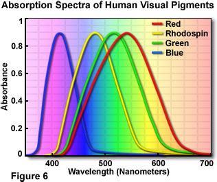 Molecular Expressions Microscopy Primer: Physics of Light and Color ...