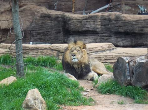 Faith Family Freedom: Day 60 - Riverbanks Zoo