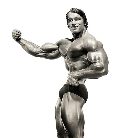 Schwarzenegger Arnold Free Clipart HD Transparent HQ PNG Download ...