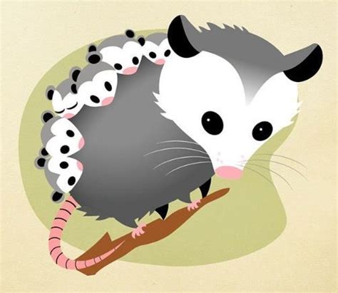 Images about possums on cartoon and clipart | Cartoon drawings, Art ...