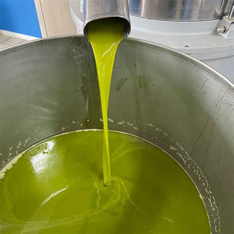 What Does First Cold Pressed Olive Oil Mean? – EXAU Olive Oil