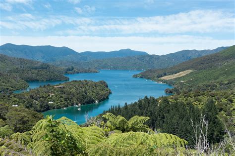 Hiking & Sailing in the Marlborough Sounds - Two And Fro