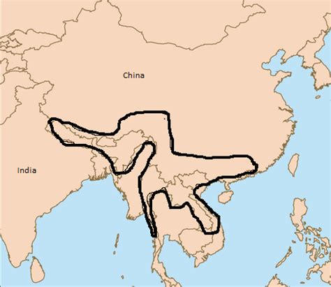 Assam Macaque Monkey: Lifespan, Habitat & Facts | Study.com